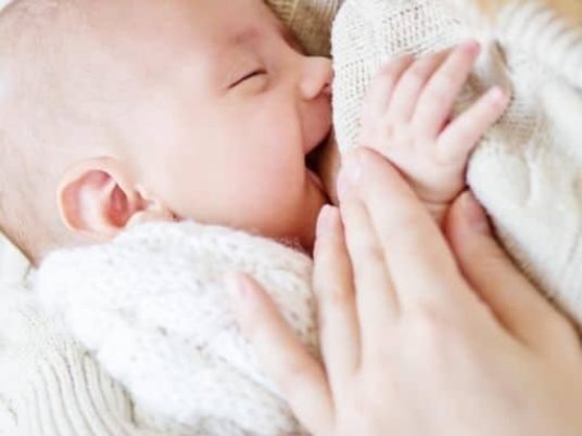 Lebensmittel die die Milchbildung anregen